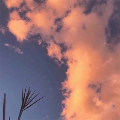 没有人比老祖我更懂游戏